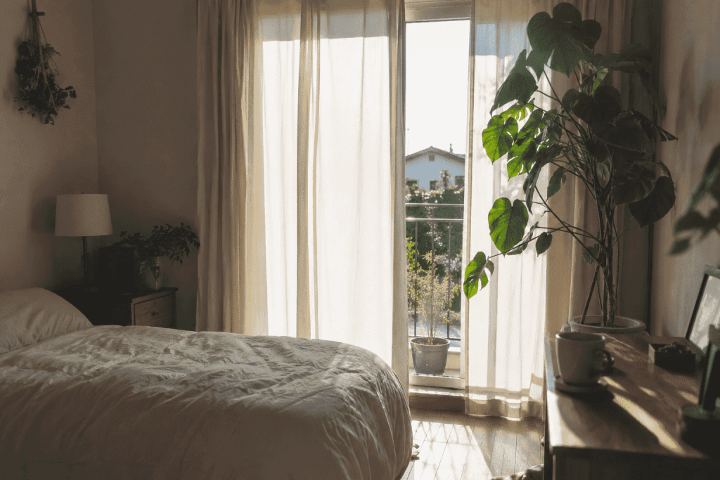 観葉植物のあるお部屋