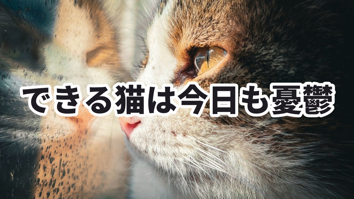 休職中におすすめのアニメできる猫は今日も憂鬱