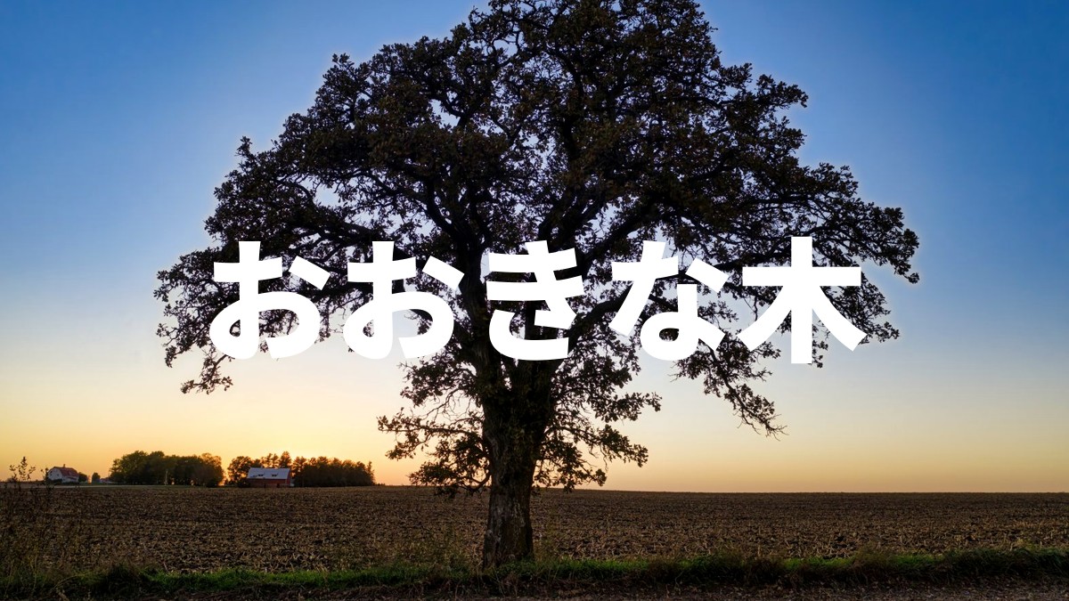 おおきな木