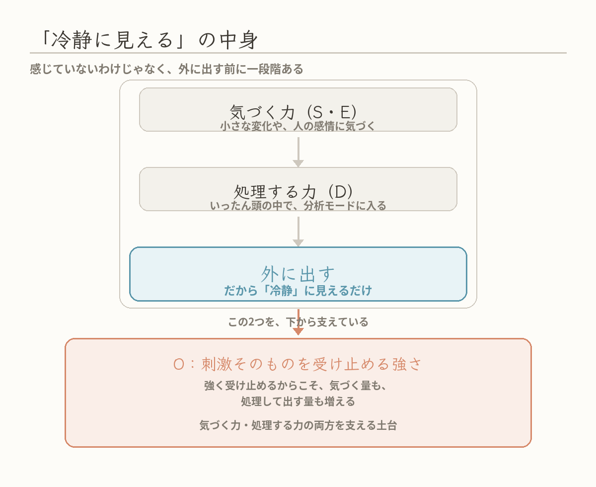 INTJ×HSPで「冷静に見える」の中身を示した図:気づく力(S・E)から処理する力(D)を経て外に出す、その両方をOが土台として支えている、という3段階の説明図