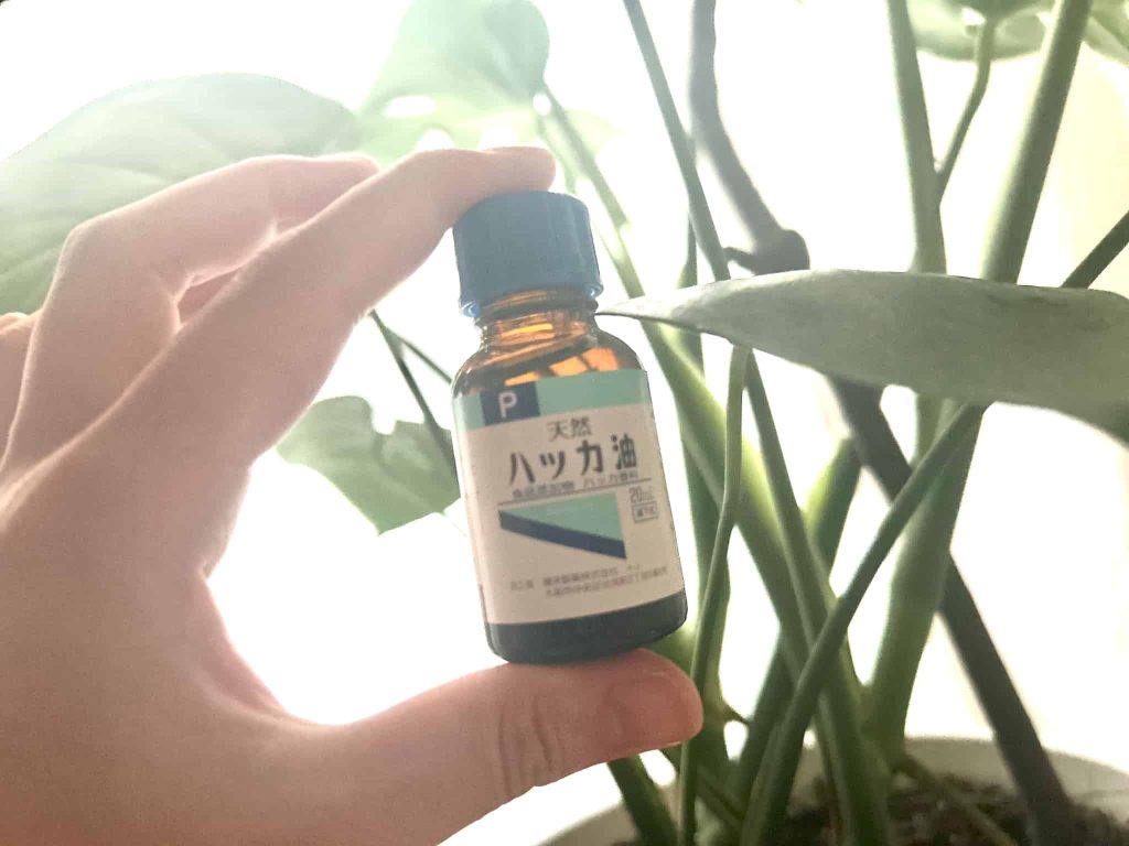 ハッカ油と観葉植物